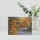 Herfstbomen langs de weg in Itasca State Park Briefkaart (Staand voorkant)