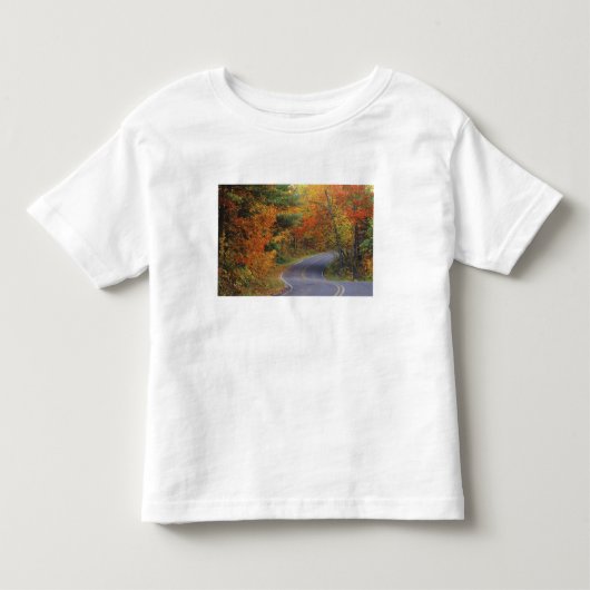 Herfstbomen langs de weg in Itasca State Park Kinder Shirts (Voorkant)