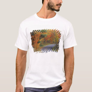 Herfstbomen langs de weg in Itasca State Park T-shirt
