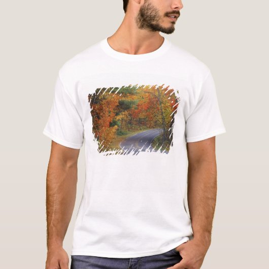 Herfstbomen langs de weg in Itasca State Park T-shirt (Voorkant)