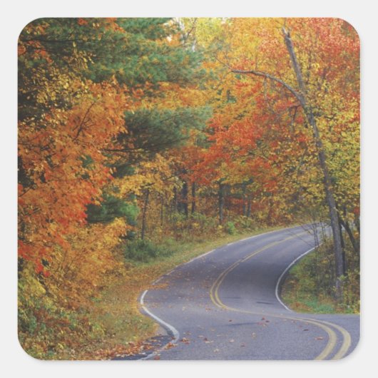 Herfstbomen langs de weg in Itasca State Park Vierkante Sticker (Voorkant)