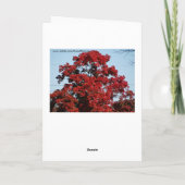 Herfstbomen, oude vriend kaart (Achterkant)