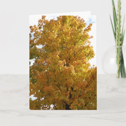 Herfstbomen, oude vriend kaart (Voorkant)