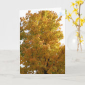 Herfstbomen, oude vriend kaart (Gele Bloem)