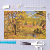 Herfstbomen Tissuepapier (Craft)