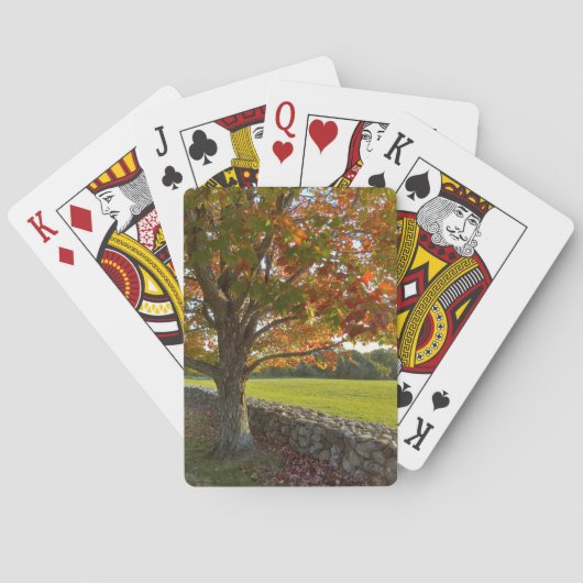 Herfstboom bij stenen muur speelkaarten (Achterkant)