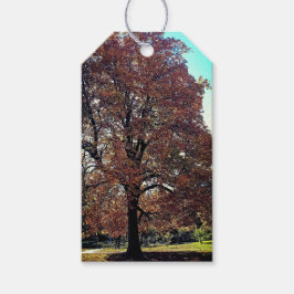 Herfstboom Cadeaulabel