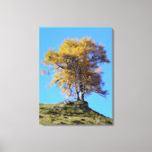 Herfstboom Canvas Afdruk (Voorkant)