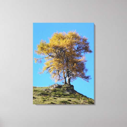 Herfstboom Canvas Afdruk (Voorkant)