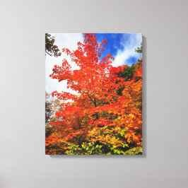 Herfstboom Canvas Afdruk