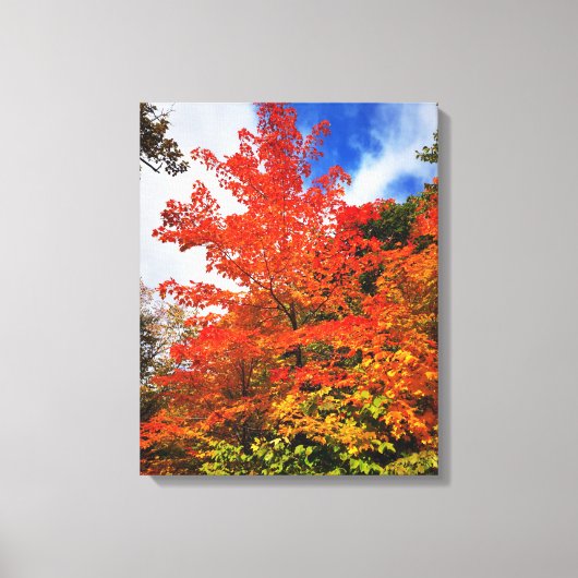 Herfstboom Canvas Afdruk (Voorkant)