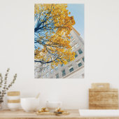 Herfstboom en hoog gebouw poster (Keuken)