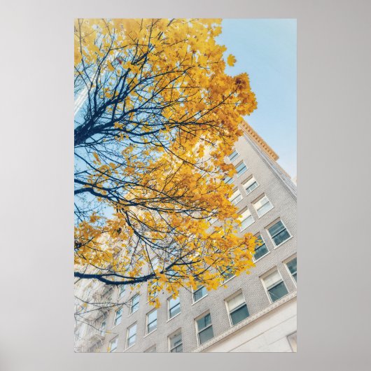 Herfstboom en hoog gebouw poster (Voorkant)
