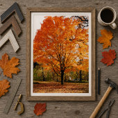 Herfstboom, Esdoorn in de herfst poster