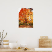 Herfstboom, Esdoorn in de herfst poster (Keuken)