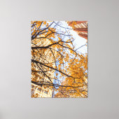 Herfstboom in de stad canvas afdruk (Voorkant)