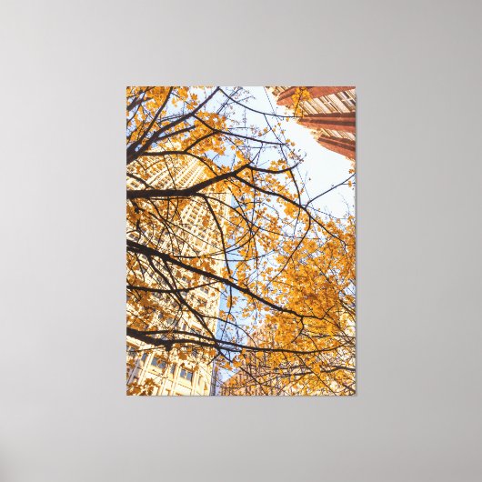 Herfstboom in de stad canvas afdruk (Voorkant)