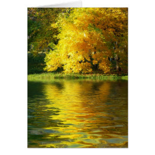 Herfstboom in het bos met bezinning