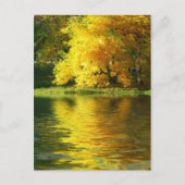 Herfstboom in het bos met bezinning briefkaart (Voorkant)