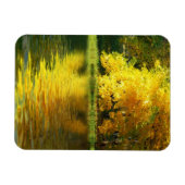 Herfstboom in het bos met bezinning magneet (Horizontaal)