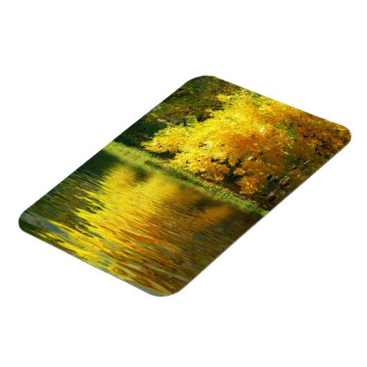 Herfstboom in het bos met bezinning magneet (Linkerzijde)