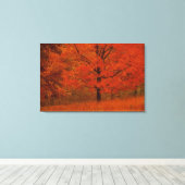 Herfstboom met rood blad canvas afdruk (Insitu (Houten vloer))