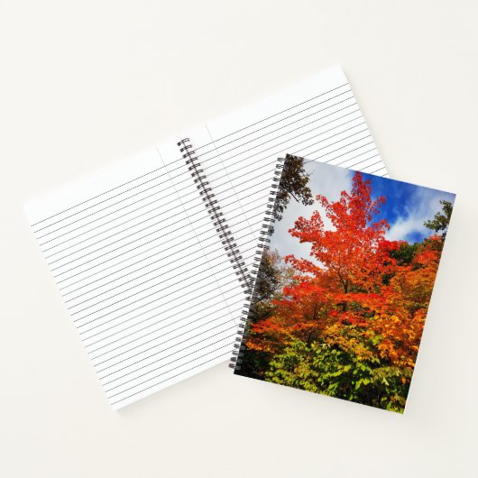 Herfstboom Notitieboek (Binnen)