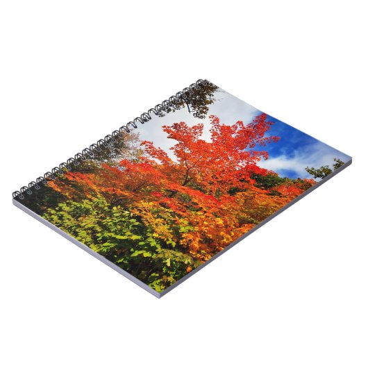 Herfstboom Notitieboek (Linkerzijde)