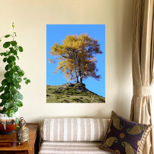 Herfstboom Poster