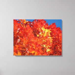 Herfstboombladeren Canvas afdrukken Oranje Herfst