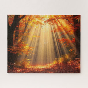 herfstbos bij zonnig weer legpuzzel