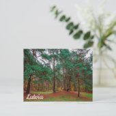 Herfstbos Briefkaart (Staand voorkant)