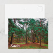 Herfstbos Briefkaart (Voorkant / Achterkant)