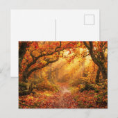 Herfstbos Briefkaart (Voorkant / Achterkant)