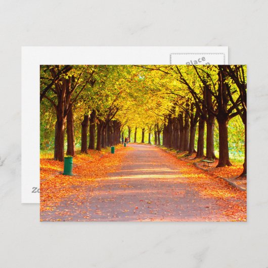 Herfstbos Briefkaart (Voorkant / Achterkant)