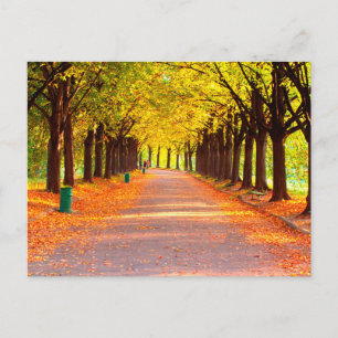 Herfstbos Briefkaart