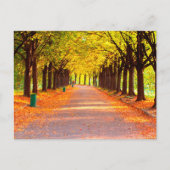 Herfstbos Briefkaart (Voorkant)