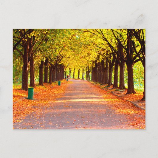 Herfstbos Briefkaart (Voorkant)