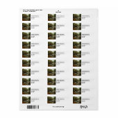 Herfstbos en rivierlandschap etiket (Full Sheet)