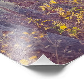 herfstbos foto afdruk (Hoek)