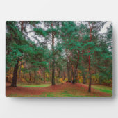 Herfstbos Fotoplaat (voorkant)