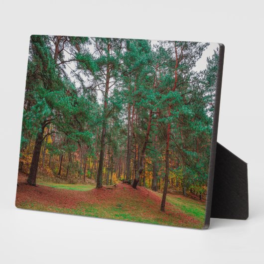 Herfstbos Fotoplaat (Zijkant)
