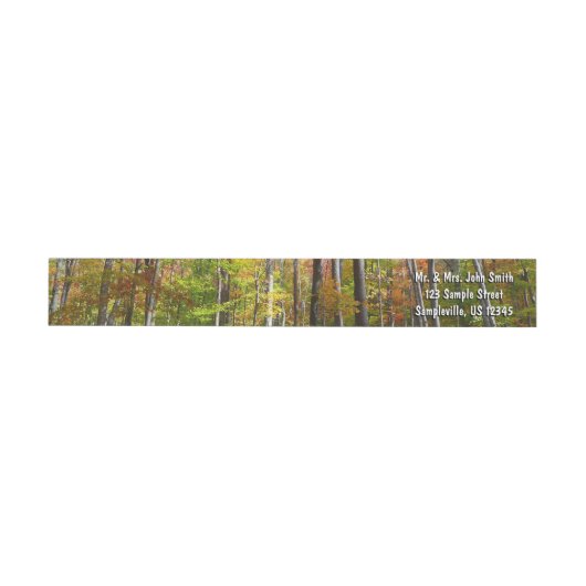 Herfstbos I Herfstlandschapsfotografie (Individueel)