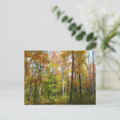 Herfstbos I Herfstlandschapsfotografie Briefkaart (Staand voorkant)