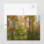 Herfstbos I Herfstlandschapsfotografie Briefkaart (Voorkant / Achterkant)