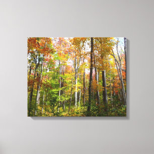 Herfstbos I Herfstlandschapsfotografie Canvas Afdruk