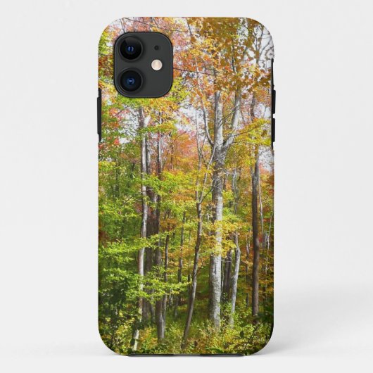 Herfstbos I Herfstlandschapsfotografie Case-Mate iPhone Case (Achterkant)