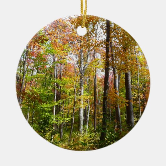 Herfstbos I Herfstlandschapsfotografie Keramisch Ornament (Voorkant)