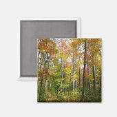 Herfstbos I Herfstlandschapsfotografie Magneet (Voorkant / Achterkant)