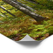 Herfstbos I Herfstlandschapsfotografie Poster (Hoek)